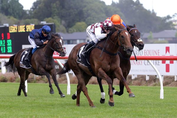 Strong Start for Babylon Berlin