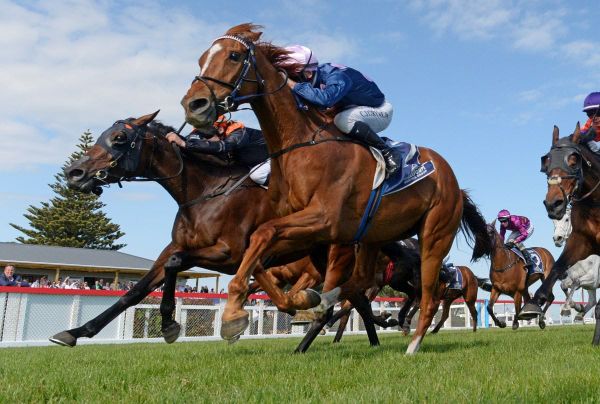 Battle Secret tops the Thurlow show