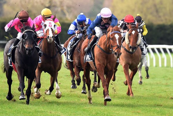 Battle Secret seeking local Cup honours