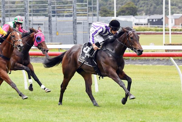 Lowry’s Stable Shows Promise at Local Trials