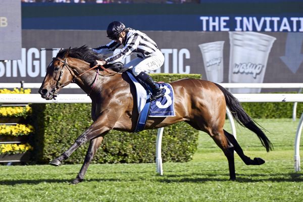 Kiwi mare Belclare takes full advantage of Invitation