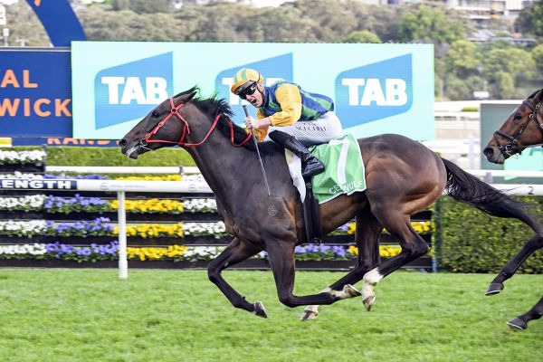 Ceolwulf gears up for his next challenge at Randwick
