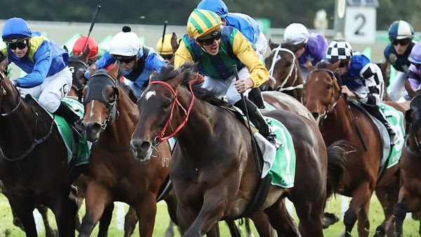 Cambridge Stud left with plenty to celebrate