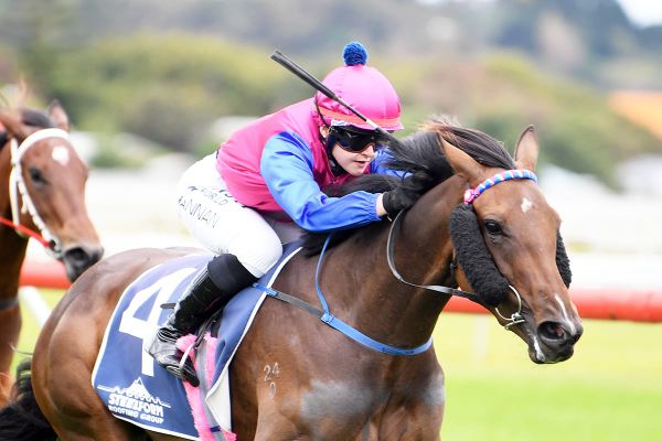 Broodmare paddock calling Chantilly Lace