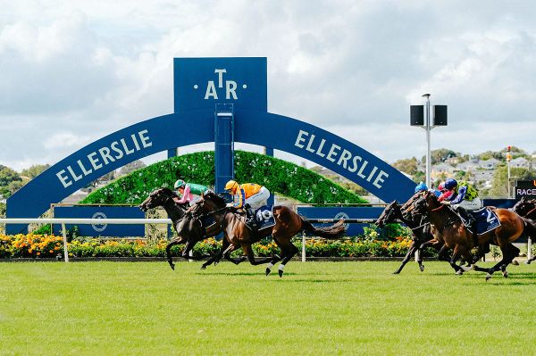 The Trans-Tasman racing series unite