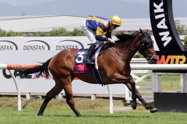 Taupo Cup opportunity ideal for Weatherley stayer
