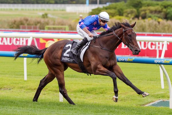 Feroce to get shot at Guineas redemption