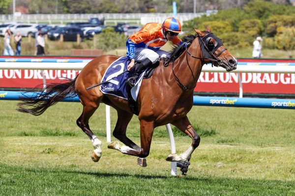 Mile proves no issue for quality mare Grinzinger Belle