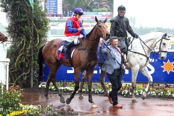 Smart 3YO delivers emotional Group victory for stud