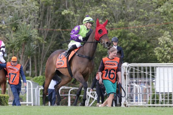 Group One performance ticked for Sass Bomb