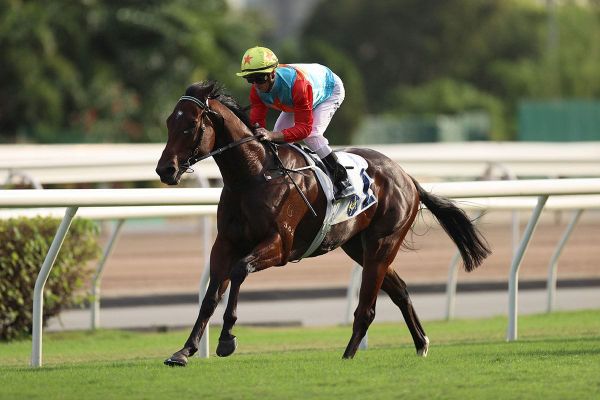 Ka Ying Rising seeking to continue golden run