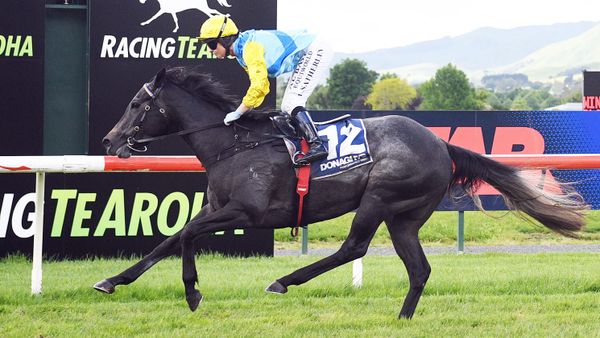 Wexford Stables Uncover Promising Filly