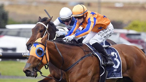 Inch-Perfect Performance by Legally Binding