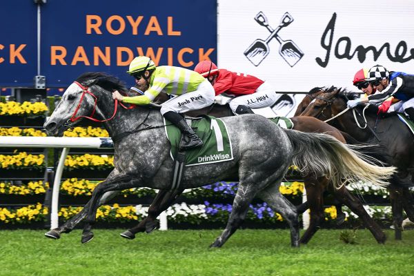 Lekvarte flashes home in Angst Stakes