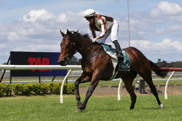 The Kelso stable has another exciting filly in their ranks