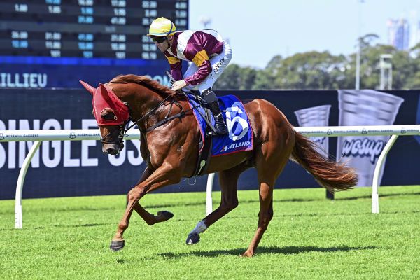 AUDIO: Racing HQ with Steve Hewlett