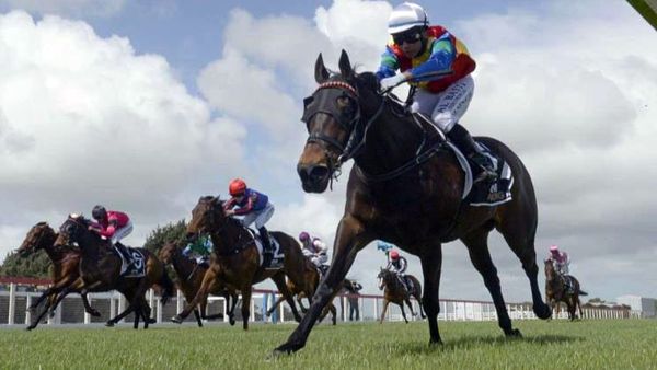 Lovely Rita hits top form at Waverley