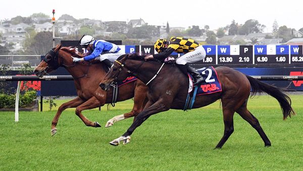 Meaningful Star collects first New Zealand victory