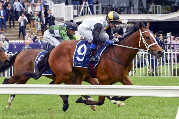 Further Sydney success for Medatsu