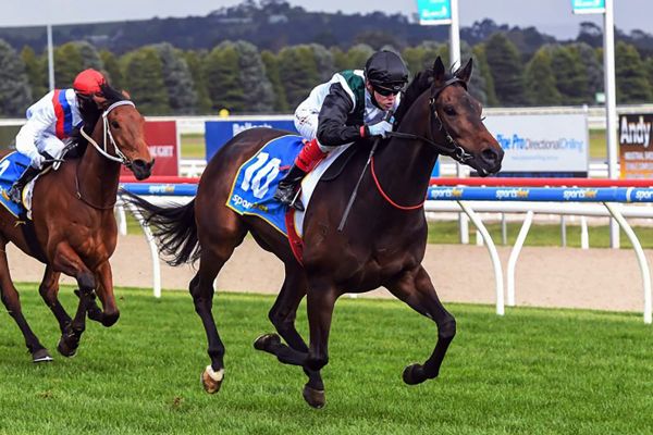 Mr. Brightside Seeks Cox Plate Redemption