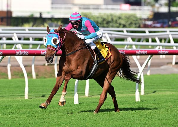 Hallmark-bred galloper strikes Australian Listed success