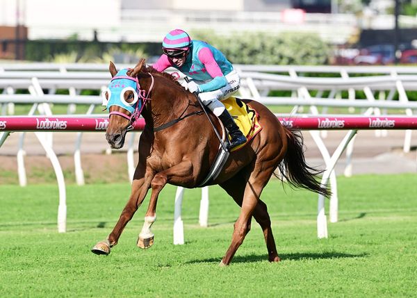 Nikau Spur dominant in Queensland Cup