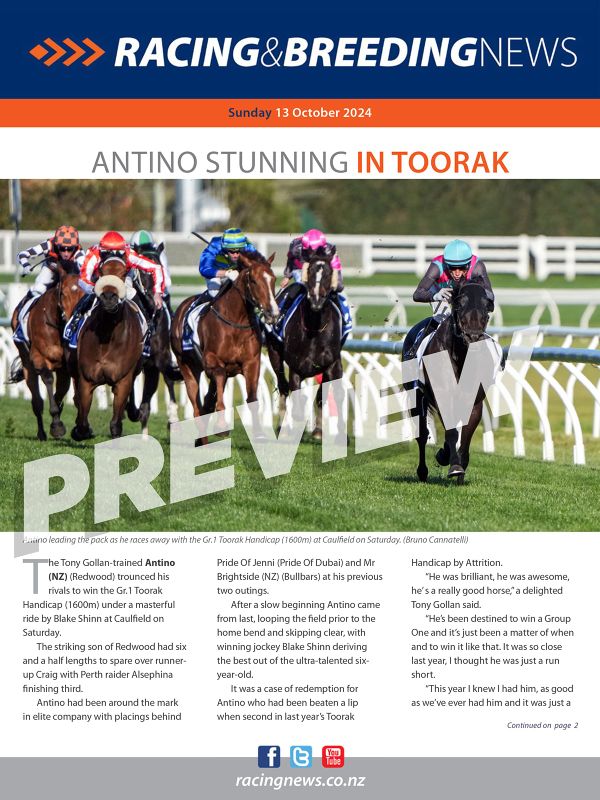 NZ Racing and Breeding News – 13 October 2024
