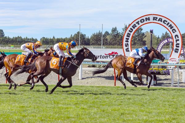 Raziah brilliant in Ashburton feature