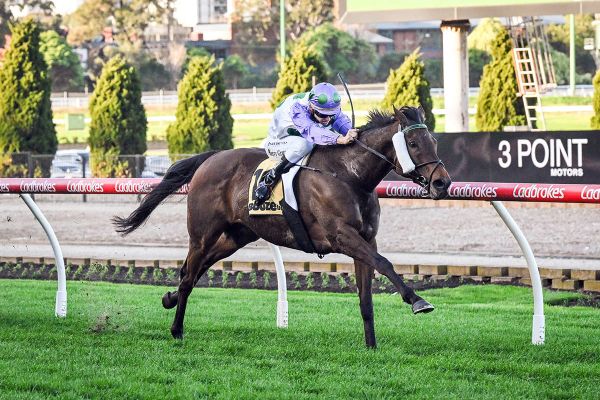 Raymond looks to end on a high with Rolls