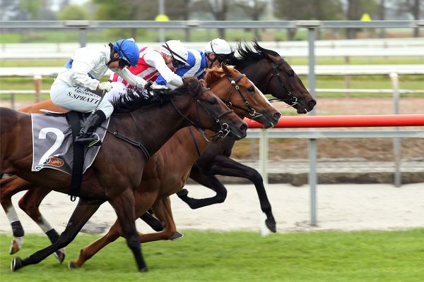 Savaglee takes out a drama-filled Hawke’s Bay Guineas