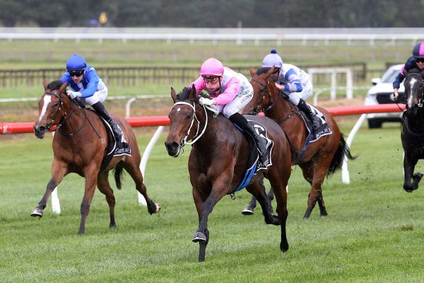 Three cheers for impressive Tauranga winner