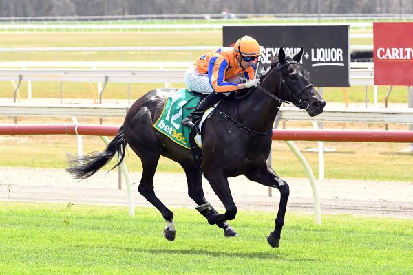 Stage ‘N’ Screen to be a lead performer this spring