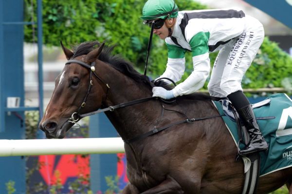 Storm Front strikes on debut