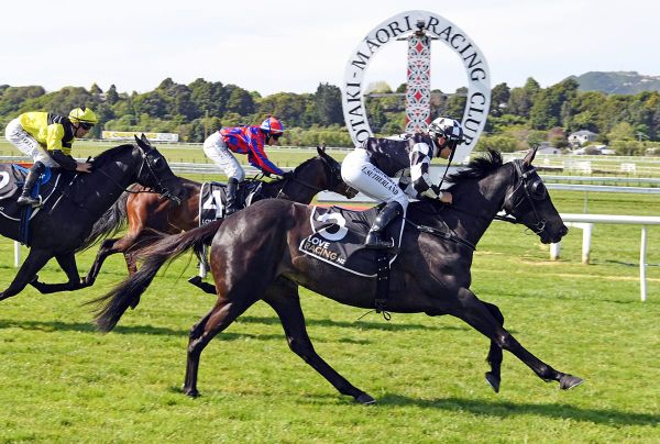 Sumi Surpasses $200,000 in Earnings with Dominant Otaki Victory