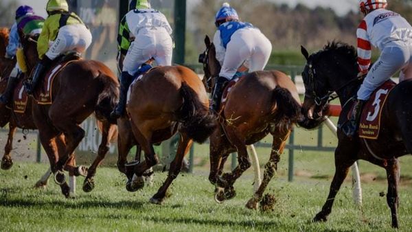 Te Aroha has completed return to racing protocols