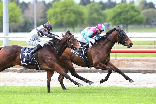 To Catch A Thief is finally on the board