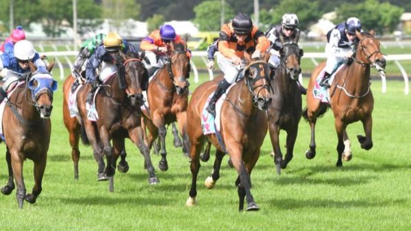Town Cryer tenacious in Thompson