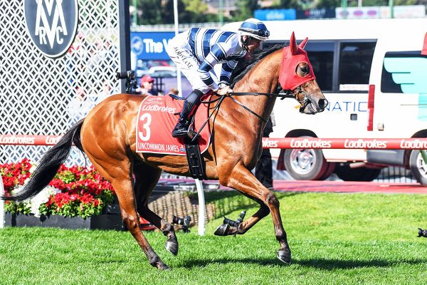 NZ sprinting features on Oakleigh Plate winners radar