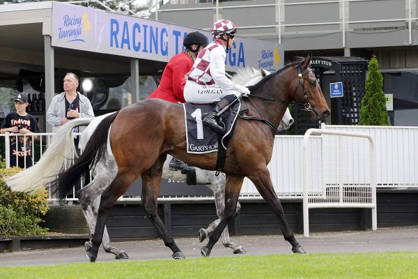 Inglewood in contention to defend KM title