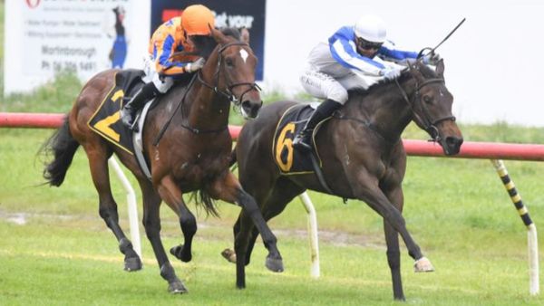 Abbakiss on the board at Tauherenikau