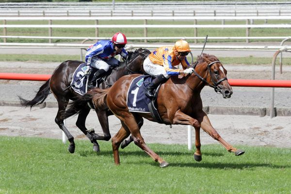 Rising Rivalry Set to Reach Boiling Point at Riccarton