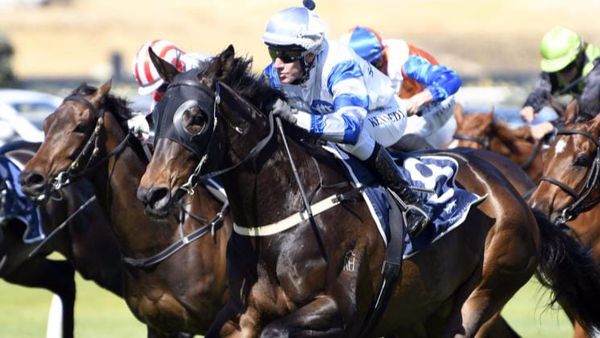 Promising Future Predicted for Confiance