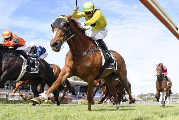 Drop Of Something Set for Wanganui Return