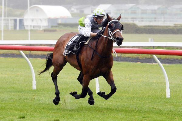 Mare set to overcome a few hurdles ahead of Telegraph test