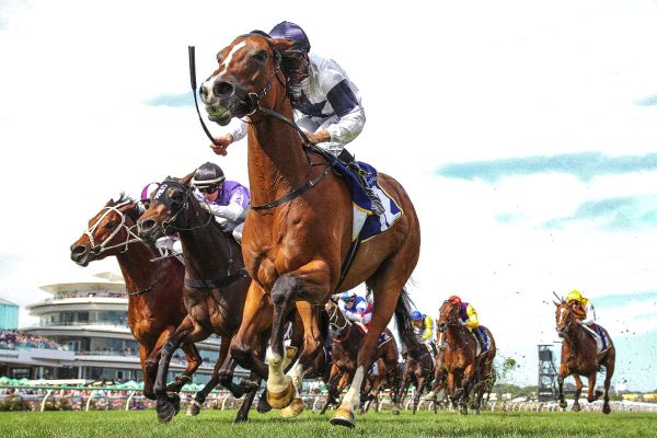 Dunell Celebrates Breeding Triumph on Melbourne Cup Day