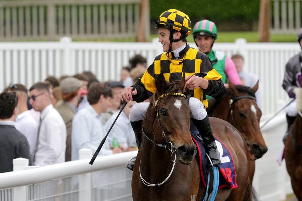 Well-performed Habana ready to emphasise versatility