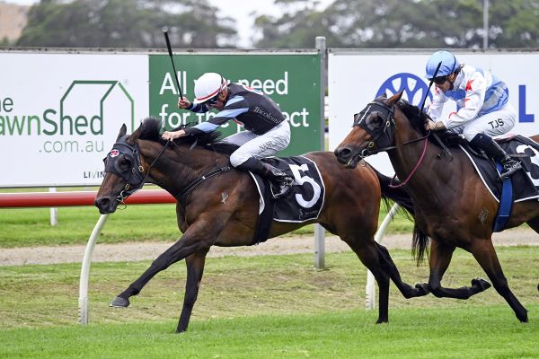 Harlow Mist returns to winner’s circle