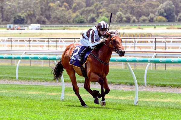 Hello Youmzain Celebrates First Winner in Australasia