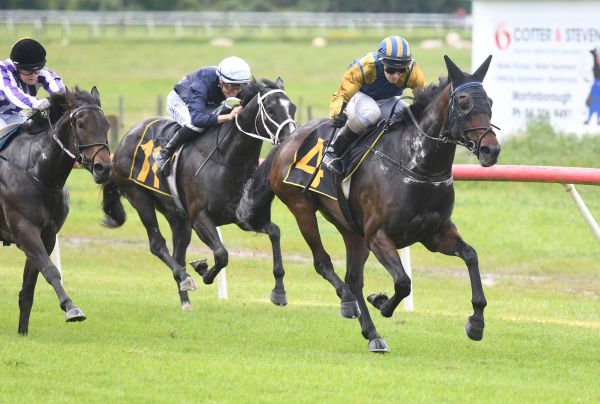 Idyllic salutes for the Grays