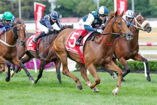 VIDEO: Jimmysstar shoots for Sir Rupert Clarke glory